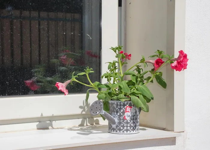 Apartamento Bella *
